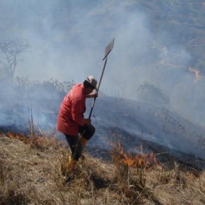 Incendios2